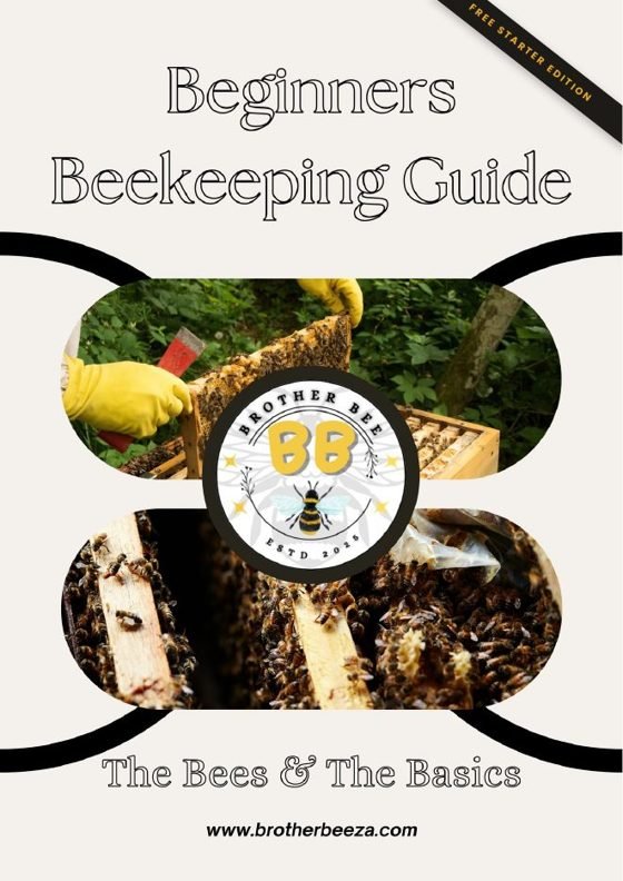 Cover of the Brother Bee ZA Beginners Beekeeping Guide, Free Starter Edition: The Bees and The Basics