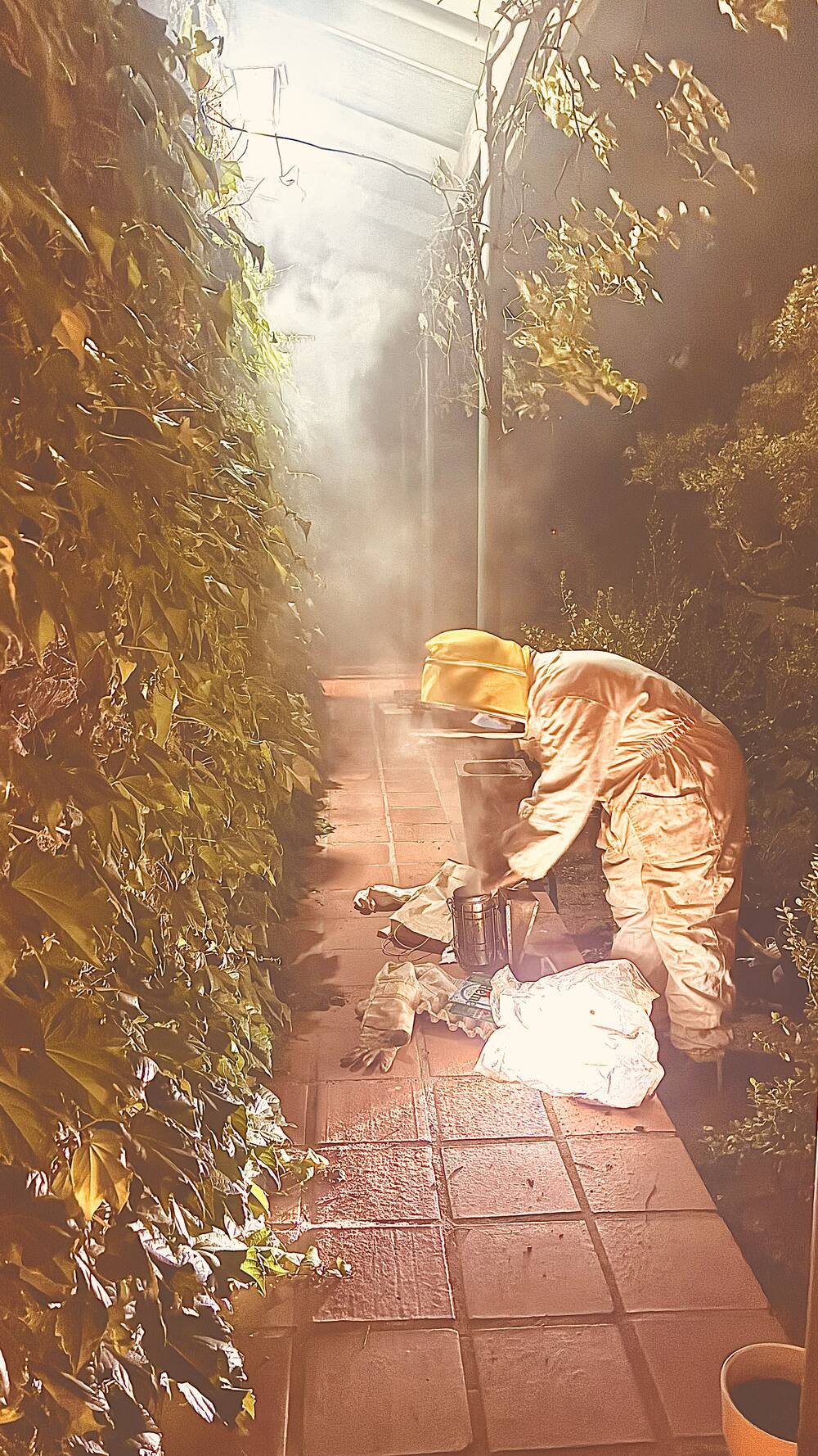 Beekeeper in protective clothing using a smoker beside a garden path